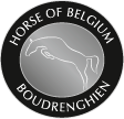 Logo horse of Belgium
