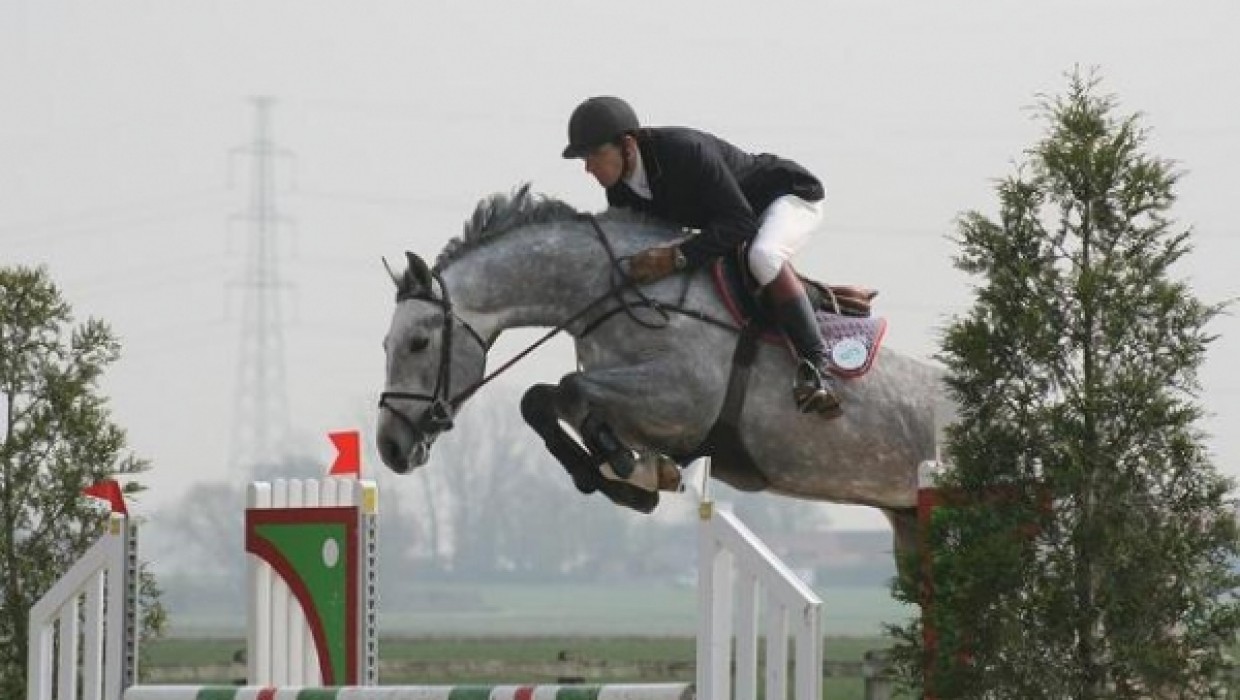 Ugano Sitte numéro 1 au classement mondial INTERNATIONAL PROGENY VALUE 2019 !