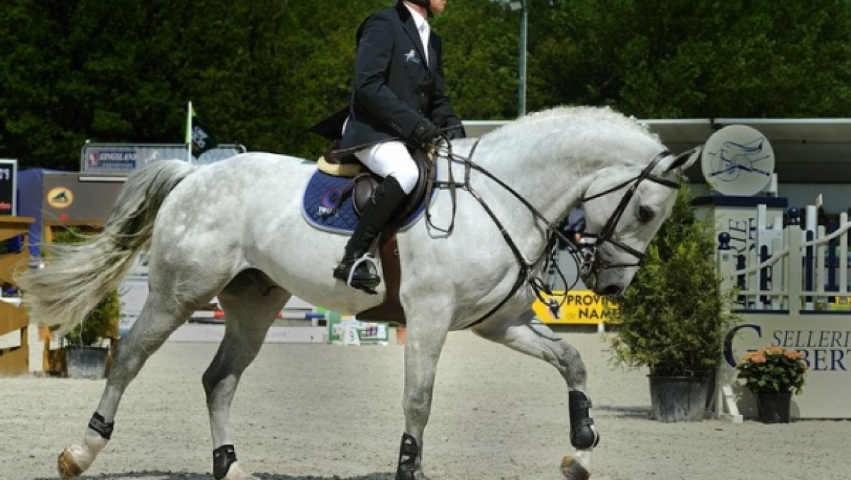 Championnat de Belgique des 6 ans