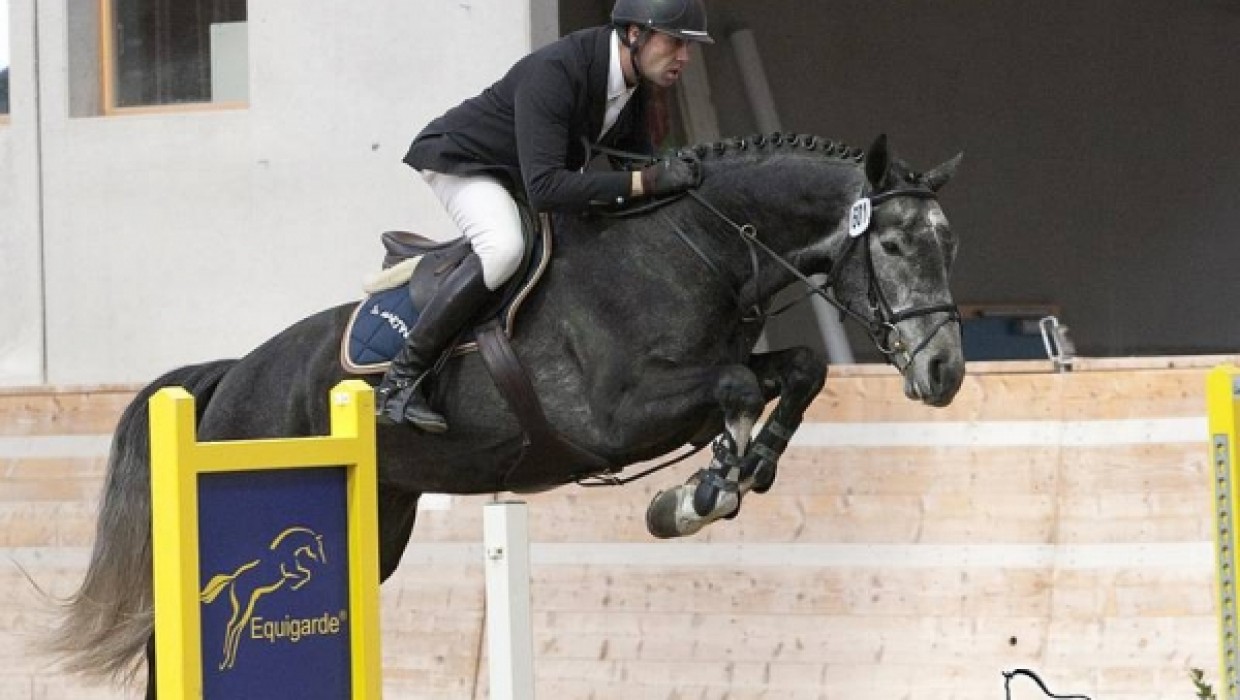 Succès pour notre elevage lors de l approbation des Etalons et du Swiss Breed Classic