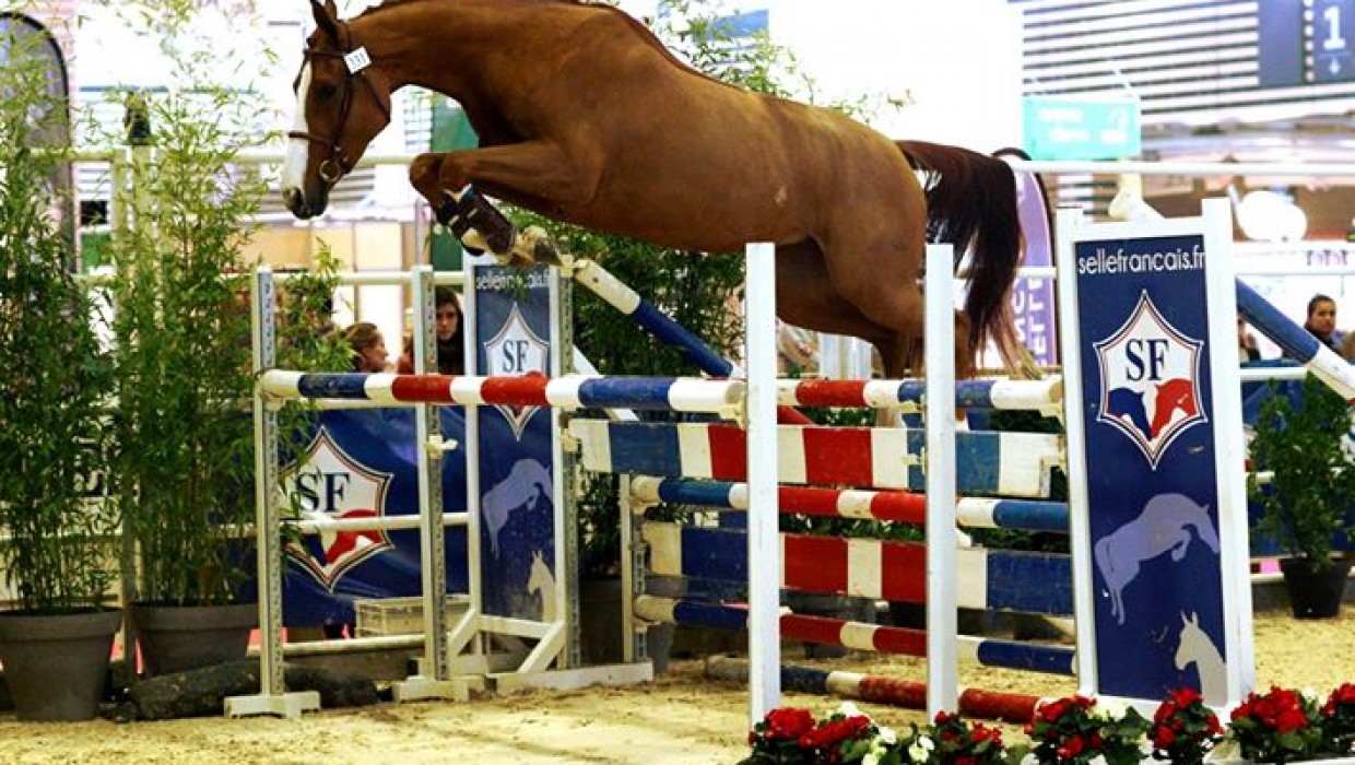 Une fille de OGANO SITTE Vice Championne de France