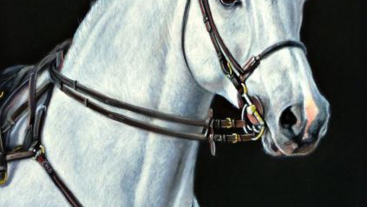 La descendance de Ugano Sitte très performante